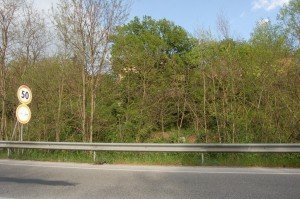 rifiuti_1 rifiuti_1-300x199