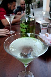 IMG_0536-200x300
