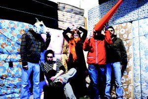 aedi.jpg_Thumbnail1-300x200