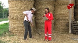 Cavallero-presidente