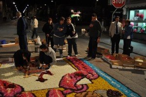 INFIORATA 2011 078 INFIORATA-2011-078-300x199
