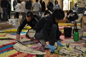 INFIORATA 2011 103 INFIORATA-2011-103-300x199