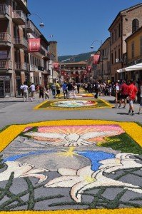 INFIORATA-2011-168-199x300