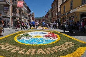 INFIORATA-2011-174-300x199