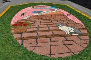 INFIORATA 2011 200 INFIORATA-2011-200-300x199