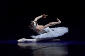 Swan Zakharova photo#5D09F0 Swan-Zakharova-photo5D09F0-300x199