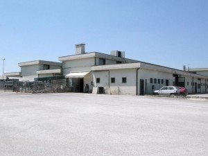 mortale-mattatoio1-300x225
