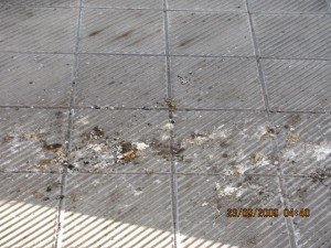 Collevario-Degrado-Ambientale