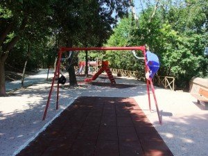 VCM-6- VCM-6--300x225