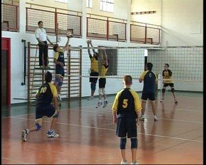 Volley-2011-300x240
