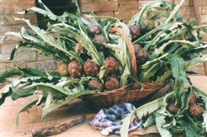 carciofi