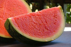cocomero