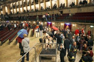 sof rigoletto3 sof-rigoletto3-300x199