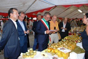 Apimarche-Stand-espositivi1-300x201