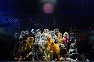 CATS_CompagniadellaRancia_1-300x198
