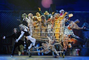 CATS_CompagniadellaRancia_5-300x203