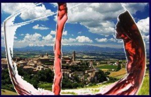 morrocalice