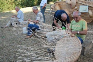 tradizioni_mogliano