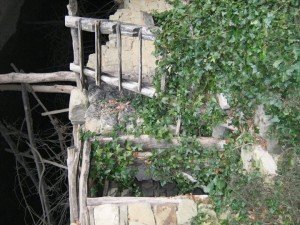 valle_scurosa