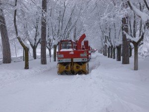 2-Vigili-del-Fuoco-di-Bolzano-a-Cingoli-Viale-G.Valentini-06-02-12-Foto-Principi-Armando.-300x225