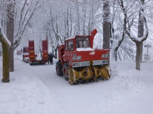 5-Vigili-del-Fuoco-di-Bolzano-a-Cingoli-Viale-G.Valentini-06-02-12-Foto-Principi-Armando.-300x225