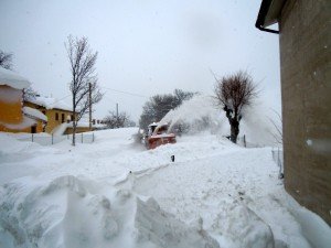 Apirese2-300x225
