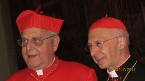 Cardinal-Vegli%C3%B2-18-300x168