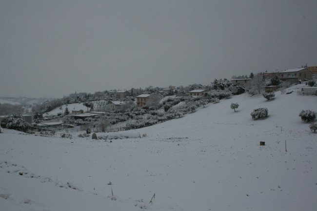 Corridonia - di Roberta Campolungo