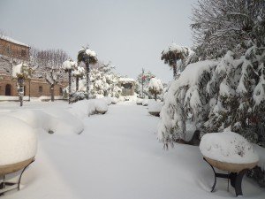 DSC01214-300x225