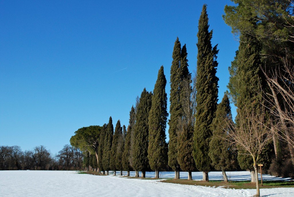 Disgelo-allAbbadia-di-Fiastra-foto-di-Francesco-Ribes-1-1024x685