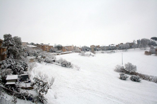 Montelupone - di Lucrezia Benfatto