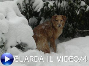 NEVE-VIDEO-4-300x225