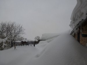 Neve_San_Severino Neve
