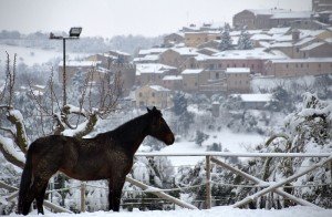 Neve-Civitanova-Enrico-Pighetti-51-300x196