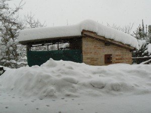 Neve-a-Belforte-foto-di-Alberta-11-300x225
