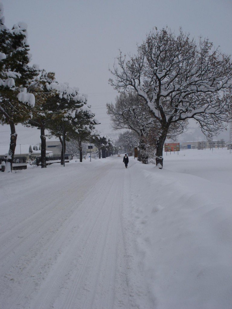 Neve-a-Caldarola-foto-di-Romina-Marchionni-6-768x1024