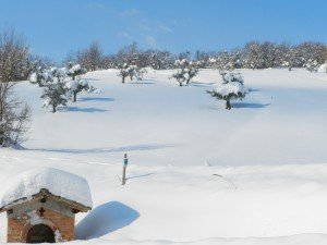 Neve-a-Cessapalombo-foto-di-Giuseppe-Cicconi-6-300x225