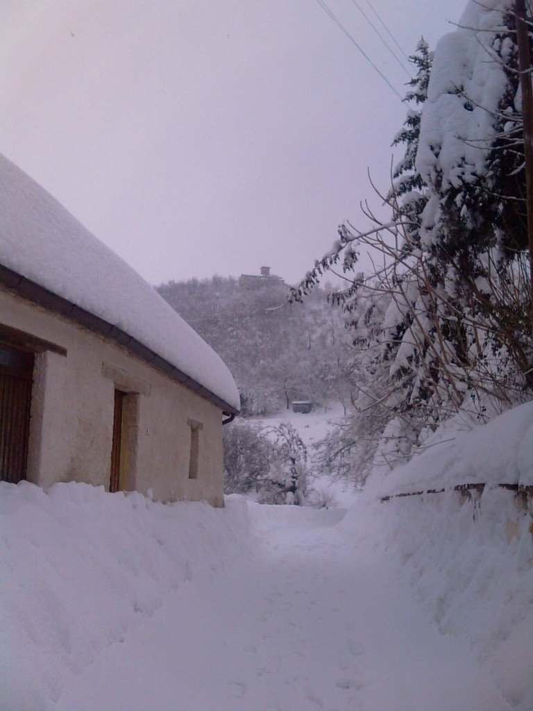 Neve-a-Cessapaolombo-foto-di-Ermanno-Pieroni-3-768x1024