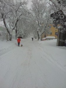 Neve-a-Cingoli-foto-di-Mirko-Mazzieri