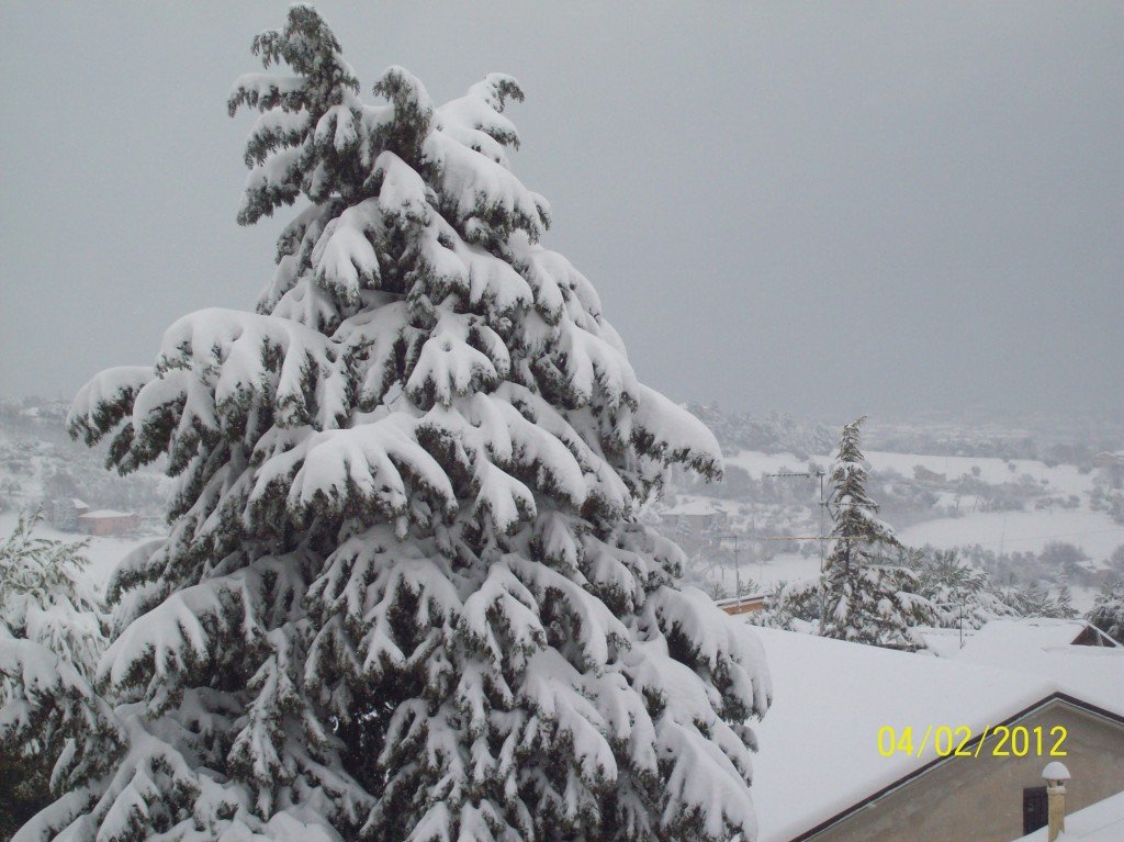 Neve-a-Civitanova-Alta-di-Umberto-Marcucci-5-1024x767