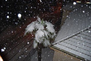 Neve-a-Macerata-foto-di-Maurizio-Montedoro-43-300x200