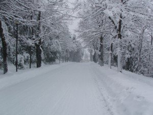 Neve-a-Macerata-foto-di-Michele-Mucci-2-300x225