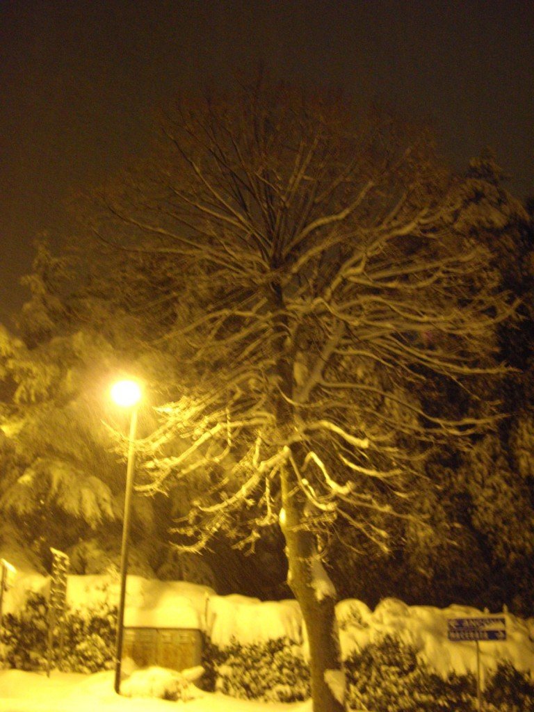 Neve-a-Montecassiano-foto-di-Piergiorgio-Scarponi-17-768x1024