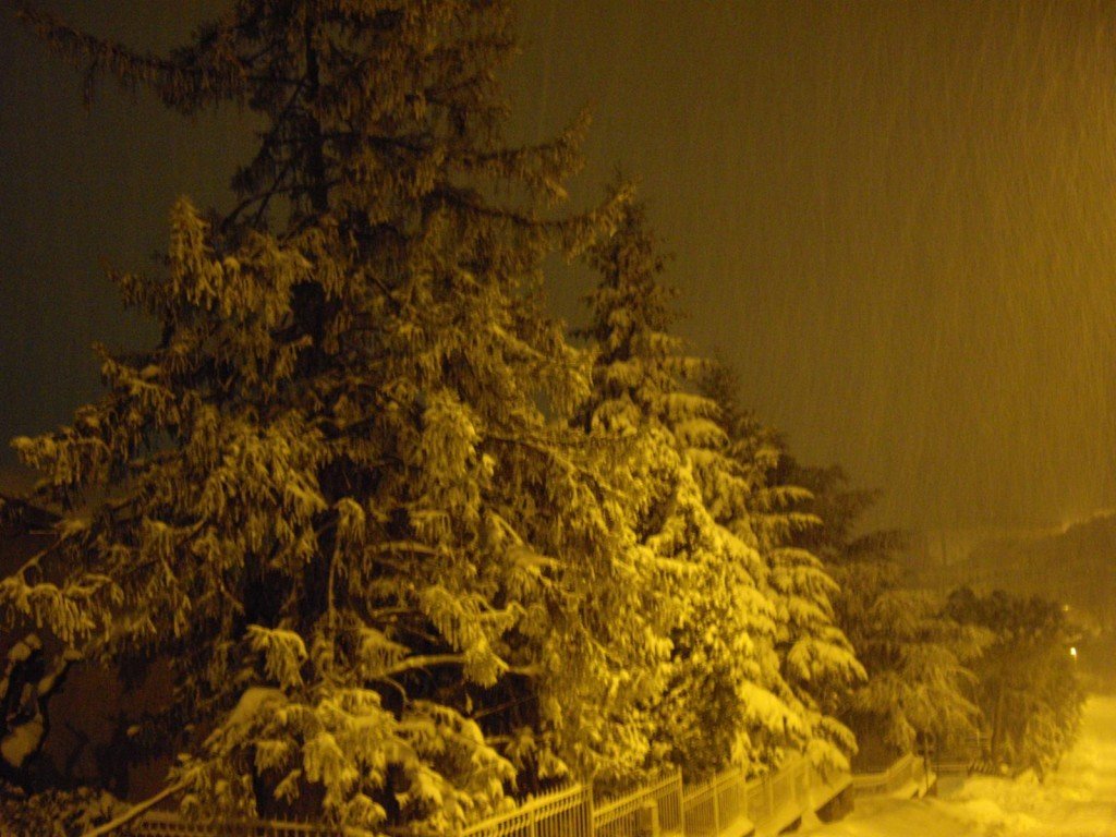 Neve-a-Montecassiano-foto-di-Piergiorgio-Scarponi-27-1024x768