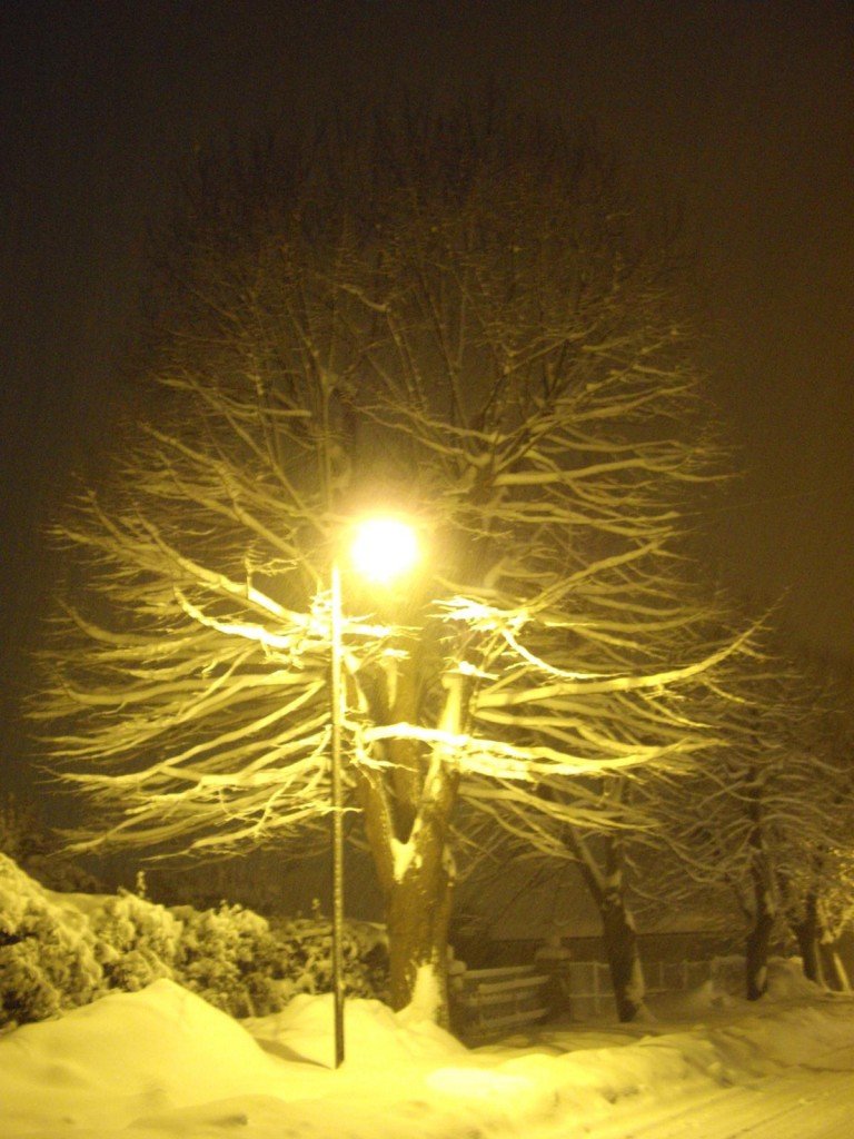 Neve-a-Montecassiano-foto-di-Piergiorgio-Scarponi-5-768x1024