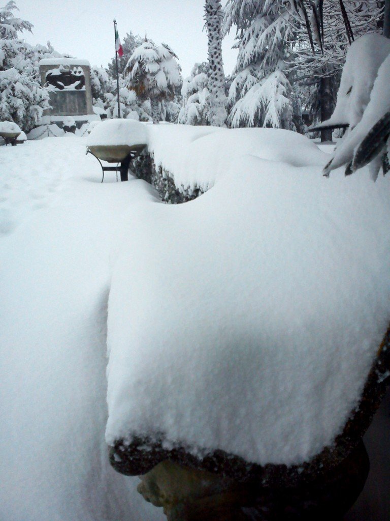 Neve-a-Montelupone-foto-di-Matteo-Scarabotti-121-768x1024