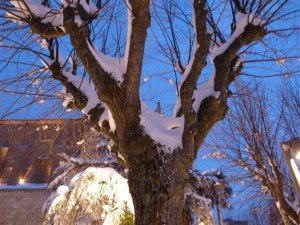 Neve-a-Potenza-Picena-foto-di-Sara-Ruffini-16-300x225