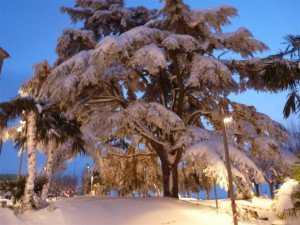 Neve-a-Potenza-Picena-foto-di-Sara-Ruffini-19-300x225