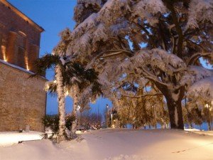 Neve-a-Potenza-Picena-foto-di-Sara-Ruffini-20-300x225