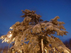 Neve-a-Potenza-Picena-foto-di-Sara-Ruffini-21-300x225